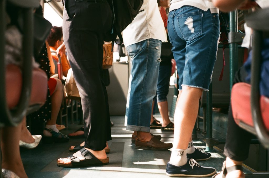 baratas em ônibus