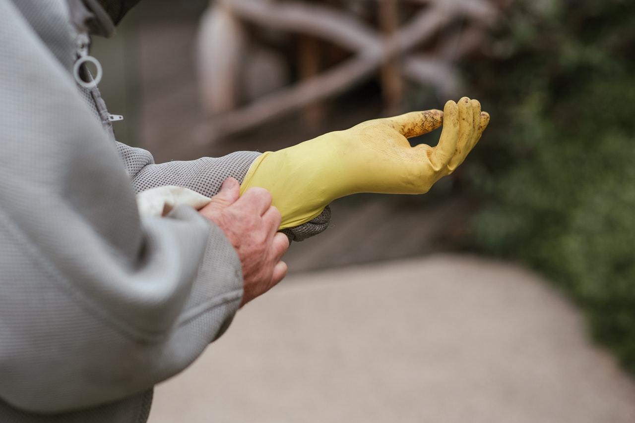 Dedetizando jardins e quintais: como fazer?