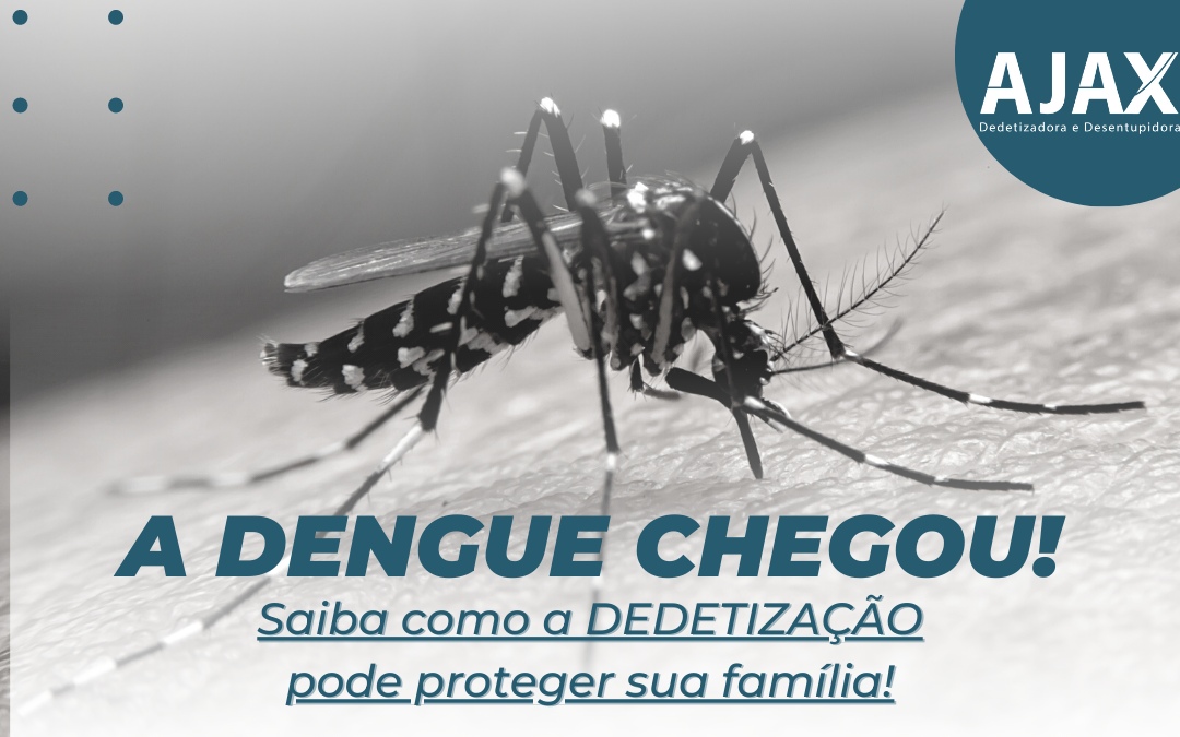 A dengue chegou! Saiba como a dedetização pode proteger sua família!