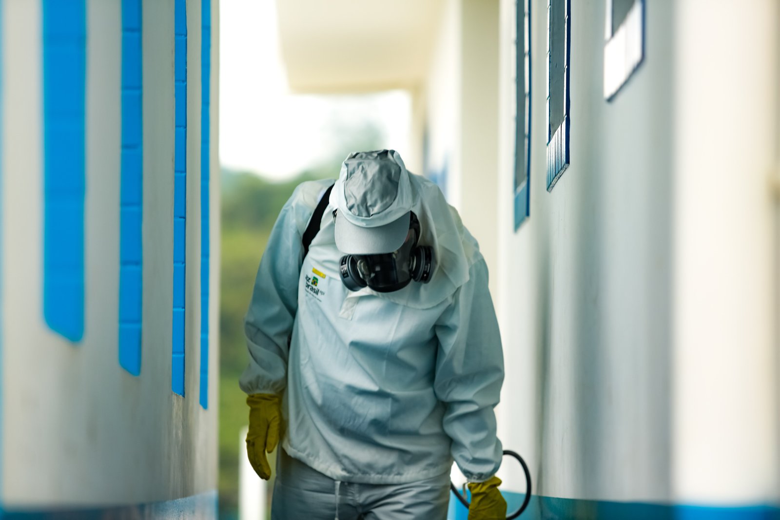 Dedetização de Carrapatos