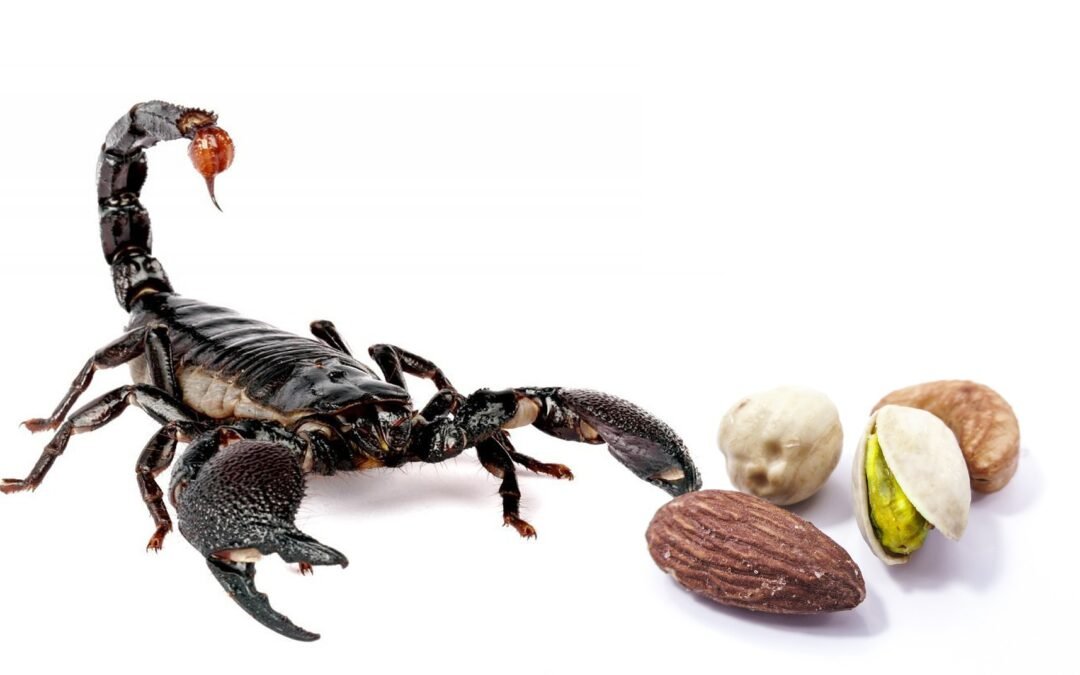 morte com picada de escorpião