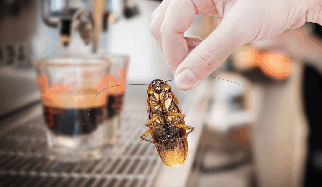 Dedetização de Padarias: AJAX Soluções