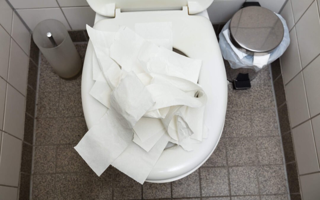 Como Desentupir Vaso Sanitário com Papel Higiênico