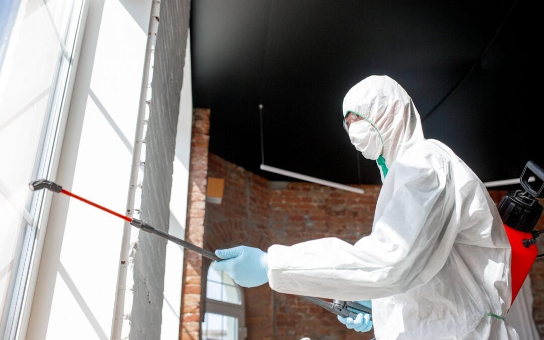 Qual a periodicidade de dedetização para comércio?