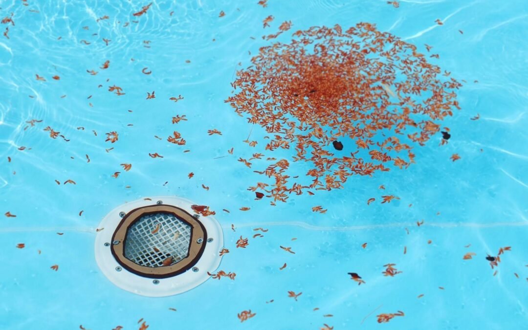 Por que a tela para ralo é tão importante?