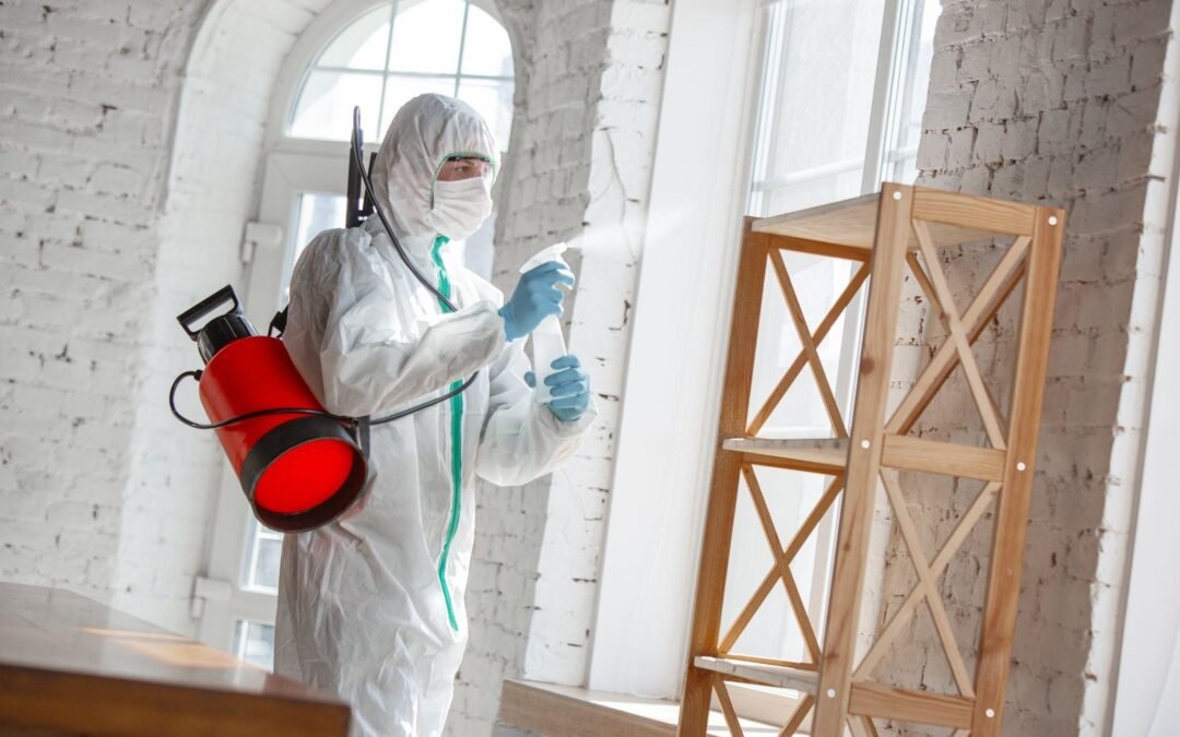 O que é bom para matar cupim?