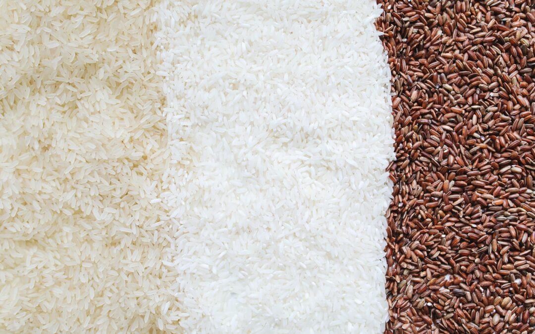 Como evitar bicho de arroz