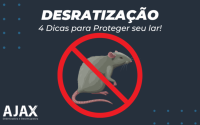 Desratização: 4 Dicas para proteger seu lar!