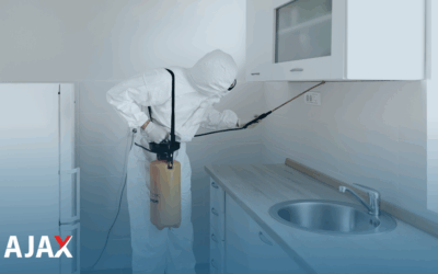 Controle de pragas em casas de recuperação e asilos: Como funciona?