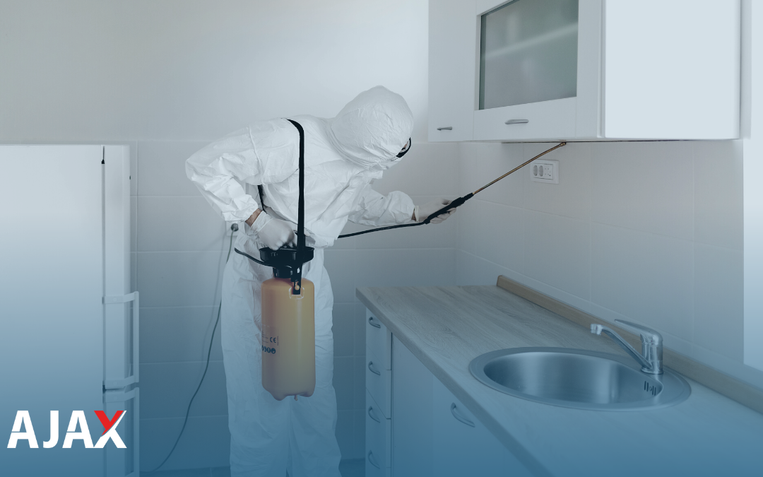 Controle de pragas em casas de recuperação e asilos: Como funciona?