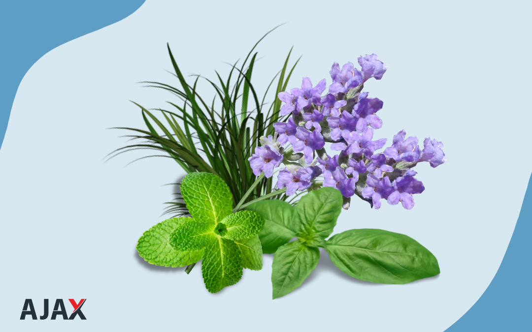 Descubra Quais Plantas Ajudam no Controle de Pragas de Forma Natural!