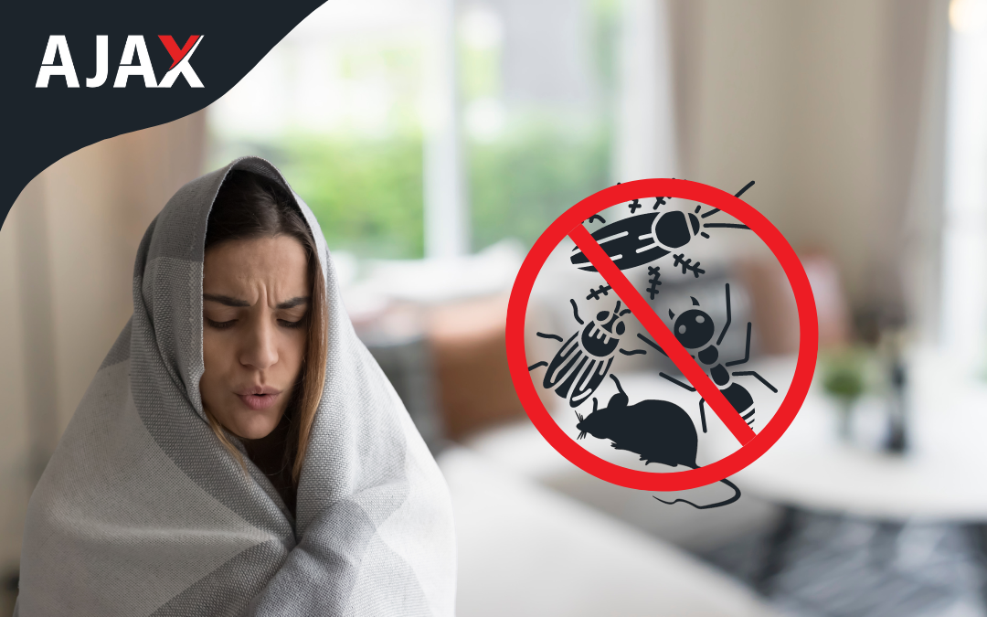 Pragas de inverno: como evitar uma infestação assustadora! Ajax Dedetizadora