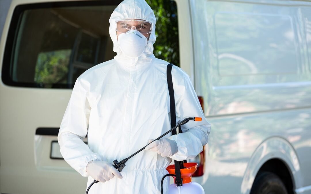 Controle de Pragas Preventivo: Conheça os Benefícios! Ajax Dedetizadora