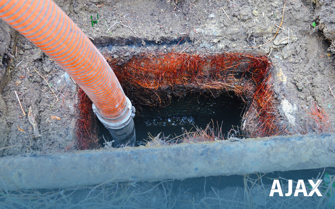 Limpa Fossa em Atibaia: A importância para o Meio Ambiente!