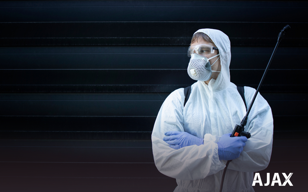 Dedetização: Quando é Necessário Realizar em Sua Residência?