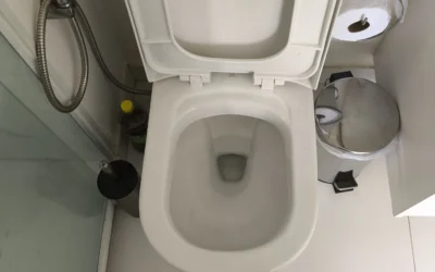 Por Que o Ralo Faz Barulho Quando Dou Descarga? Entenda as Causas e as Soluções