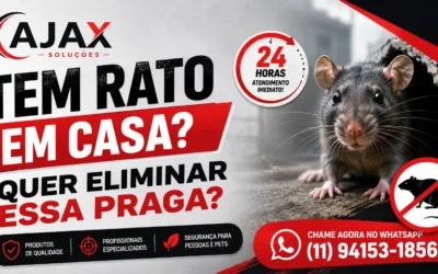 Como Capturar Rato no Esgoto: Guia Prático e Seguro