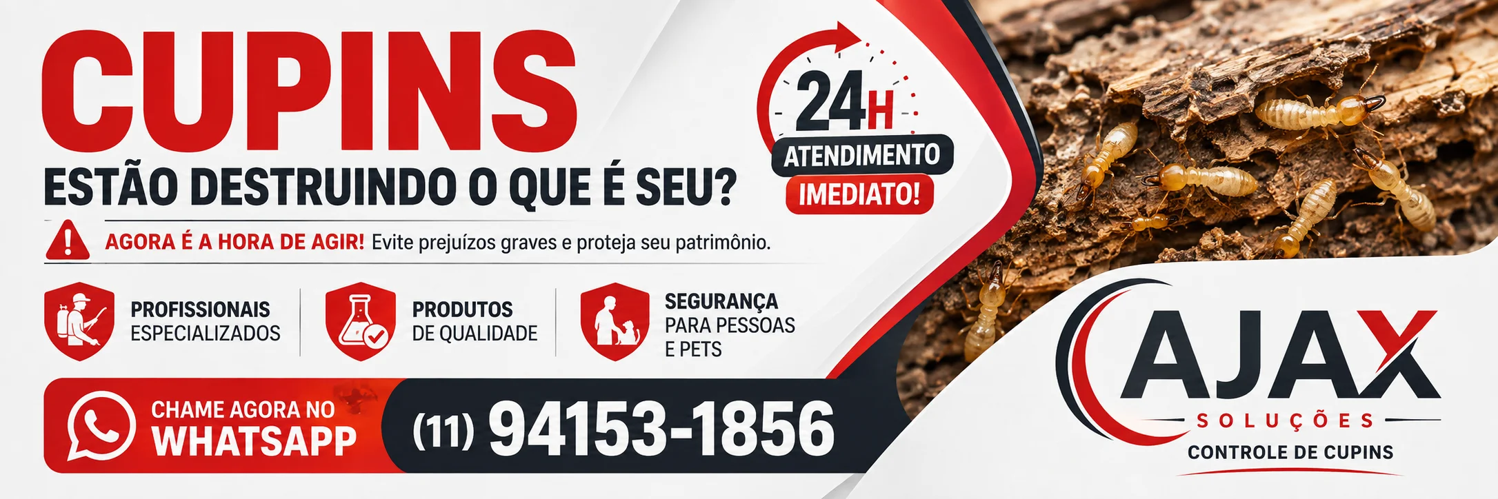 Descupinização no Jardim Santo Antonio - Santo Andre para controle de cupins