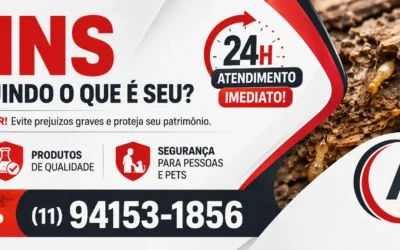 Cupim de Madeira: Como Identificar, Matar e Evitar a Infestação